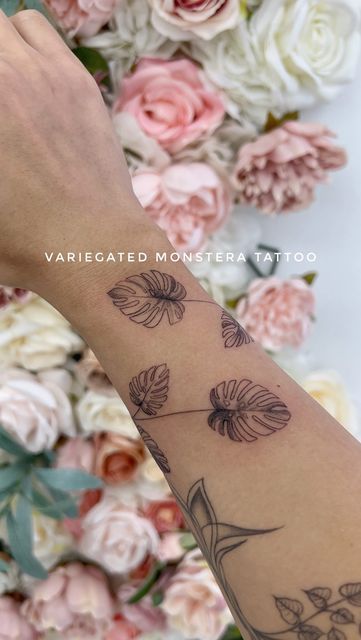 Minimalistcali on Instagram: "I got a variegated monstera tattoo🌿⁣ ⁣ My husband surprised me with a variegated monstera years ago and it’s always been my favorite. It’s only fitting that he also found the perfect tattoo artist to do it for me⁣ ⁣ 𝘐 𝘸𝘦𝘯𝘵 𝘵𝘰 @𝘩𝘰𝘭𝘭𝘺.𝘪𝘮𝘱𝘦𝘳𝘧𝘦𝘤𝘵𝘢𝘳𝘵𝘪𝘴𝘵𝘳𝘺 𝘪𝘯 𝘚𝘤𝘰𝘵𝘵𝘴𝘥𝘢𝘭𝘦, 𝘈𝘡⁣ ⁣ ⁣ ⁣ ⁣ ⁣ ⁣ ⁣ ⁣ ⁣ #monsteratattoo #variegatedmonstera #monsteraalbo #monsteraalbovariegata #planttattoo #planttattoos #finelinetattoos #monsteravariegata" Monstera And Flowers Tattoo, Monstera Leaf Tattoos, Monstera Arm Tattoo, Monstera Tattoos Leaves, Monstera Plant Tattoo, Monstera Tattoo, Blatt Tattoos, Hydro Plant, Flower Tats