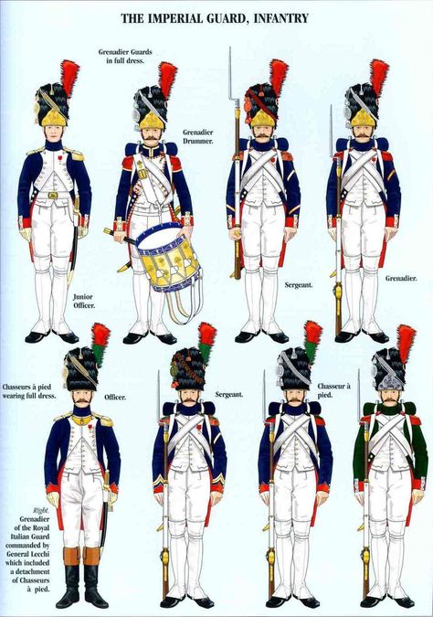 Napoleon French, American Uniform, First French Empire, Waterloo 1815, Century Uniforms, Wwii Uniforms, English Royal Family, Battle Of Waterloo, Napoleonic Uniforms