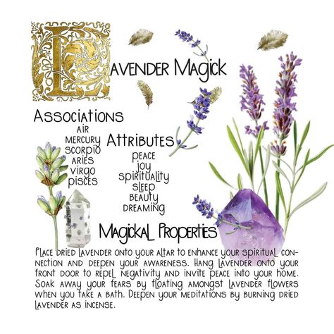 Herb Meanings, Herbs For Protection, Witchcraft Spells For Beginners, Magickal Herbs, Witch Herbs, Green Witchcraft, Plant Magic, Magic Herbs, Magical Herbs