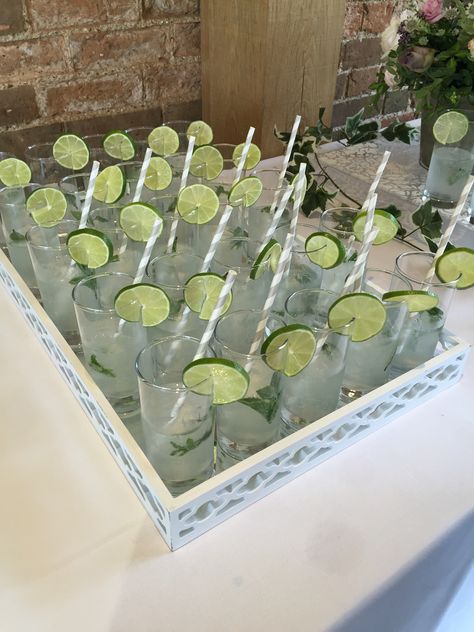 Mojito Themed Party, Mojito Bar Ideas, Mojito Decoration, Cocktail Party Decorations, Mojito Party, Cocktail Display, Birthday Foods, Mojito Bar, Mojito Drink