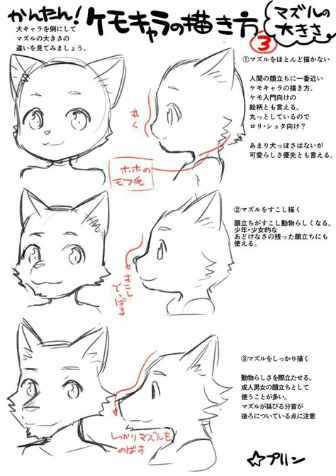 Steps To Draw, Draw Cat, Some Drawings, Drawing Tutorial Face, 캐릭터 드로잉, Guided Drawing, Art And Illustration, Drawing Skills, Facial Expressions