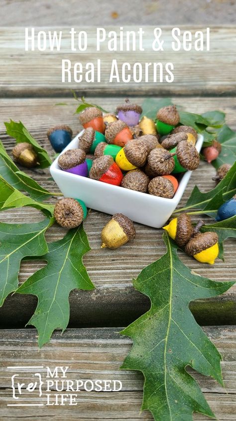 Have you ever seen painted acorns? I'm going to show you how to prep and paint acorns from your yard. Step by step details on drying, baking, painting and sealing. A great Fall decor project. #MyRepurposedLife #repurposed #acorns #fall #decor via @repurposedlife Paint Acorns, Painted Acorns, Dried Acorns, Acorn Painting, Baking Painting, Acorn Crafts, Picnic Tablecloth, Fall Decor Ideas, Fall Projects