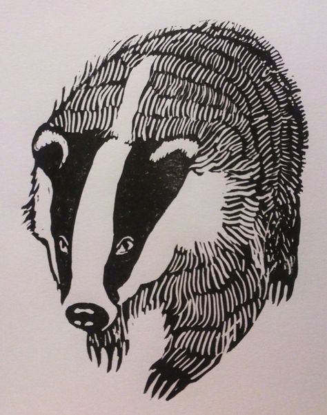 Badger - linocut print - Tegen Montgomerie, U.K.                                                                                                                                                      More Linoleum Prints, Badger Illustration, Linoleum Print, Linocut Printmaking, Lino Art, Relief Printing, Linocut Art, Tinta China, Woodcuts Prints