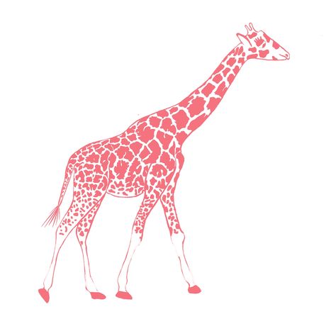 I love this colour.  I don't know the name but it is 95% Froly or 80% Brink Pink.  A Giraffe Rendition. Giraffe Logo, Giraffe Painting, Pink Giraffe, A Giraffe, Giraffes, Love This, How To Draw Hands, I Love, Wall Art