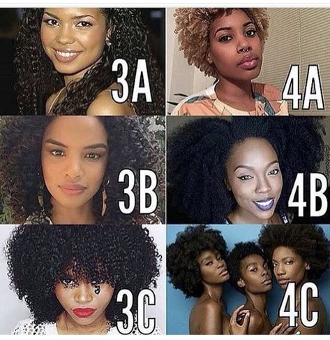 Hair Type Chart, Black Hair Types, 3b Hair, Cabello Afro Natural, Hair 4c, Protective Hair, Low Porosity Hair Products, Afro Textured Hair, Pelo Afro