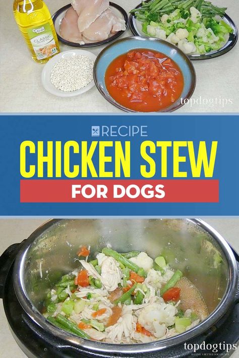 This homemade chicken stew for dogs recipe isn't just going to entice your pet. There's a good chance you'll want to have a bowl for yourself! The good news is that you can share this meal with your canine companion. It is made with nutritious whole food ingredients that are safe and healthy for dogs and humans. Homemade Chicken Stew, Stew For Dogs, Cook Dog Food, Dogs And Humans, Cooking Whole Chicken, Food For Dogs, Best Crockpot Recipes, Stew Chicken Recipe, Cook Healthy