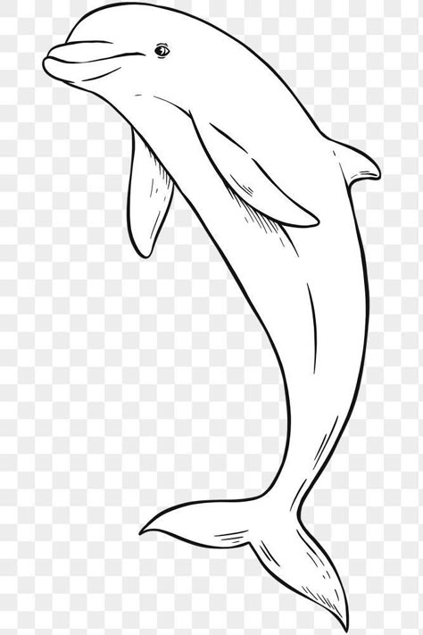 Dolphin Clipart Black And White, Dolphin Cartoon, Dolphin Illustration, Dolphin Drawing, Dolphin Images, Dolphin Painting, Whale Drawing, Dolphins Tattoo, Dolphin Coloring Pages