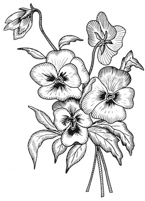 Wood Burning Patterns, Decoupage Vintage, Plant Drawing, Violet Flower, Flower Coloring Pages, Digi Stamps, Kirigami, Coloring Pictures, Coloring Book Pages