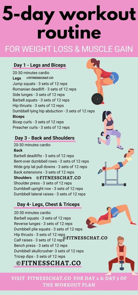 Slimming Down after 40 Muscle Gain Workout Women, Gaining Muscle For Women, Weight Gain Workout For Women, Gain Muscle Women, 5 Day Workout Plan, 5 Day Workout Routine, Day Workout Plan, Stamina Workout, Muscle Gain Workout