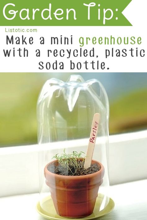 20 Consigli Insanely Clever giardinaggio e idee Serre Diy, Microgreens Garden, نباتات منزلية, Mini Greenhouse, Diy Greenhouse, Green House, Veggie Garden, Seed Starting, Garden Crafts