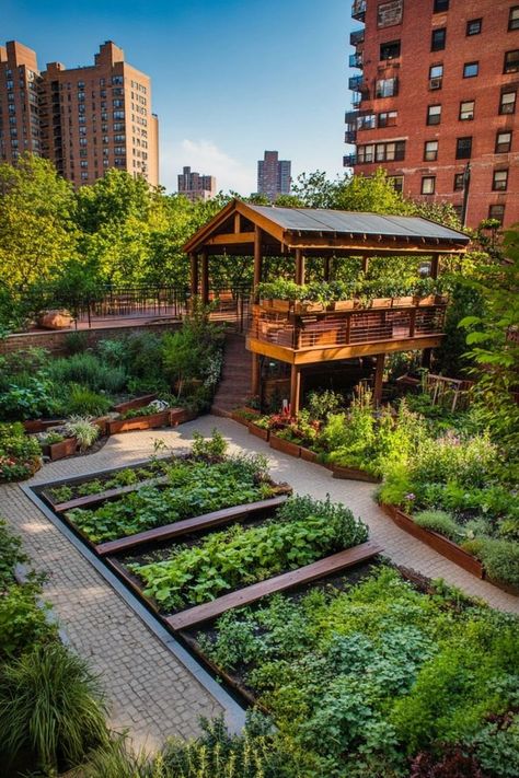 Get inspired by successful community gardens around the globe! 🌍🌷 From urban rooftops to transformed vacant lots, these examples illustrate how community gardens can revitalize neighborhoods and build connections. Discover what makes these gardens stand out and how they benefit their communities. #SuccessStories #CommunityGardens #UrbanGreenery Rooftop Vegetable Garden, Vegetable Stand, Community Gardens, Herb Garden Design, Vegetable Garden Planning, Assisted Living Facility, Garden Stand, Community Garden, Starter Home