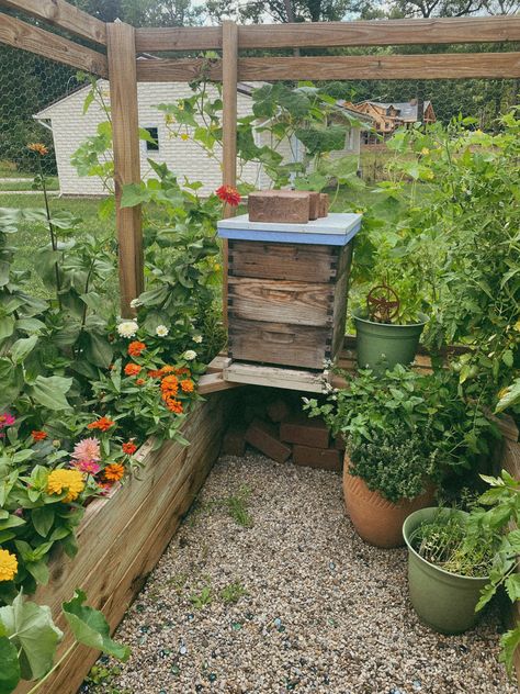 Beehive Garden Backyard Beekeeping, Flower Garden For Bees, Bee Keeping For Beginners Backyards, Apiary Aesthetic, How To Make A Bee House, Bee Yard Design, Bee Farm Aesthetic, Bee Hive Garden, Bee Yard Ideas