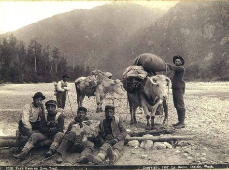 Klondike Gold Rush, Yukon Territory, Gold Prospecting, Yukon Gold, Digital Museum, Call Of The Wild, Up North, Gold Rush, Old West