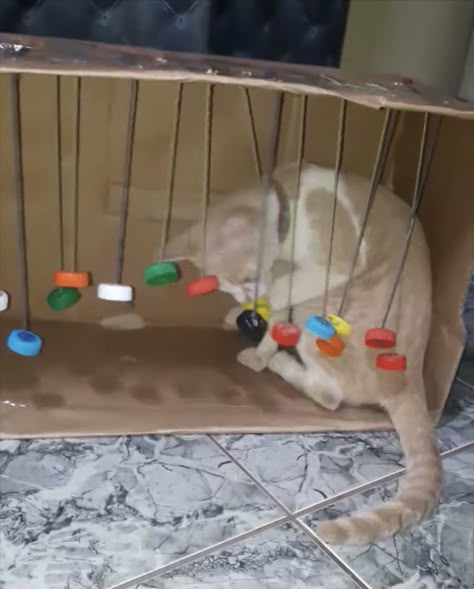 Diy Cat Toys Easy, Katt Diy, Katt Grejer, Diy Cat Bed, Chat Diy, Colorful Hairstyles, Cat Entertainment, Homemade Cat Toys, Diy Pet Toys