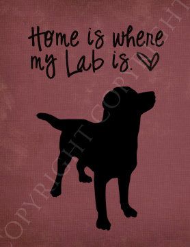 True story! Labrador Art Print - 8x10 Custom Silhouette Art Print- Home is Where my Labrador is. $14.00, via Etsy. Labrador Quotes, Labrador Art, Lab Dog, Tibetan Mastiff, Dog Quotes Funny, Black Labrador Retriever, Homeless Dogs, Lab Dogs, Black Labs