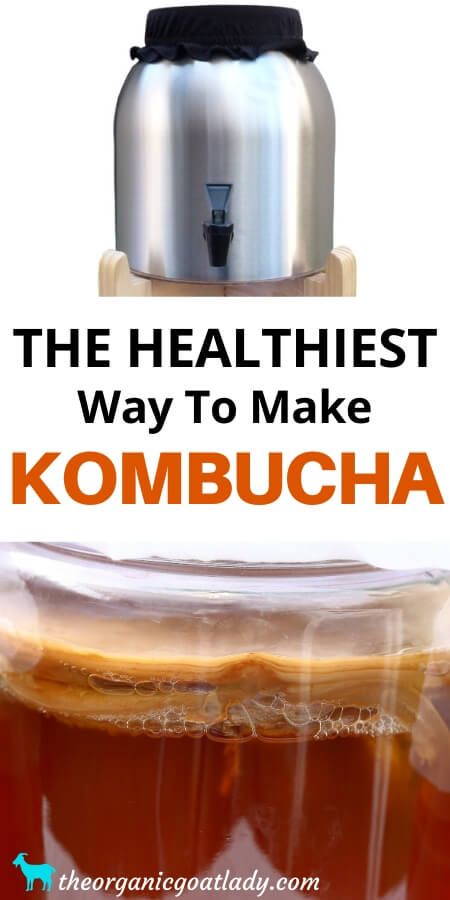 Continuous Brew Kombucha, Scoby Hotel, Make Kombucha, Kombucha Flavors, Kombucha Scoby, Homemade Kombucha, Kombucha Recipe, Probiotic Drinks, Kombucha Tea