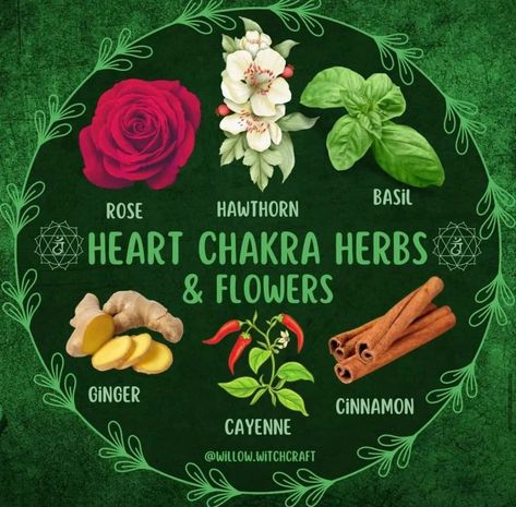 Green Heart Chakra, Chakra Health, Winter Wellness, Ginger And Cinnamon, Kitchen Witchery, Magical Herbs, Witch Spell Book, Herbs For Health, Green Heart