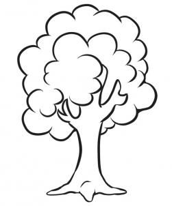 How to Draw a Simple Tree, Step by Step, Trees, Pop Culture, FREE ... - ClipArt Best - ClipArt Best Oak Tree Drawings, Tree Line Drawing, Tree Drawing Simple, Tree Drawings Pencil, Simple Tree, Unique Coloring Pages, Tree Coloring Page, Tree Sketches, Simple Line Drawings