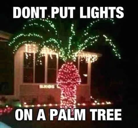 And Here Are The Absolute Funniest Christmas Decorations Ever Funny Christmas Pictures, Christmas Memes, Funny Captions, 웃긴 사진, Need A Laugh, E Card, Laughter Is The Best Medicine, Made Me Laugh, Look At You