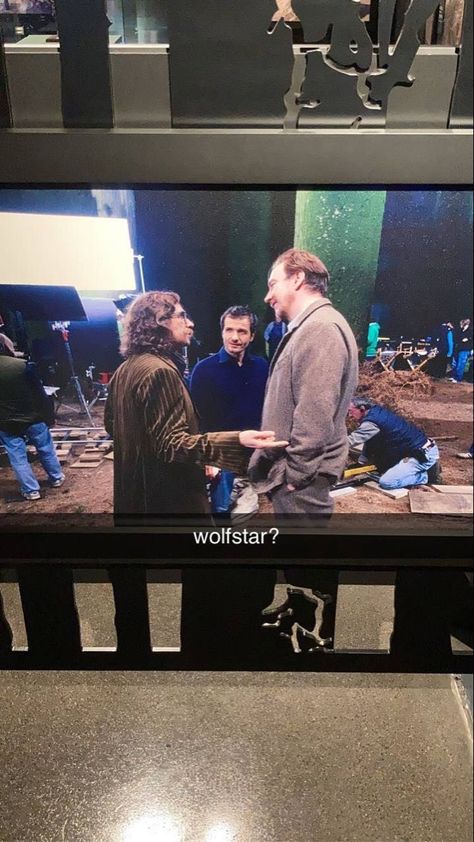 Wolfstar💞 Harry Potter Remus And Sirius, Remus Lupin Behind The Scenes, Remus Lupin Movie, Kneazle Harry Potter, Remus Lupin X Sirius Black, Sirius Black Fan Cast, Lupin X Sirius, Sirius Black X Remus Lupin, Remus Lupin Harry Potter