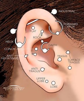 Location: through the flesh above and/or adjacent to the cartilage of the tragus Jewelry: initially, a surface bar will be used ranging from 18 gauge (1mm) to 1 Percinings Ear Ideas Chart, Tragus Vertical, Piercings Corps, Piercing Surface, Ušný Piercing, Ear Piercing Names, Different Types Of Piercings, Different Ear Piercings, Piercing Daith