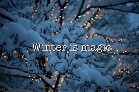 Winter Is Magic winter winter quotes winter quotes and sayings winter image quotes Snow Light, I Love Snow, Gift Tree, Winter Schnee, Winter Quotes, Snow Covered Trees, I Love Winter, Winter Light, Winter Magic