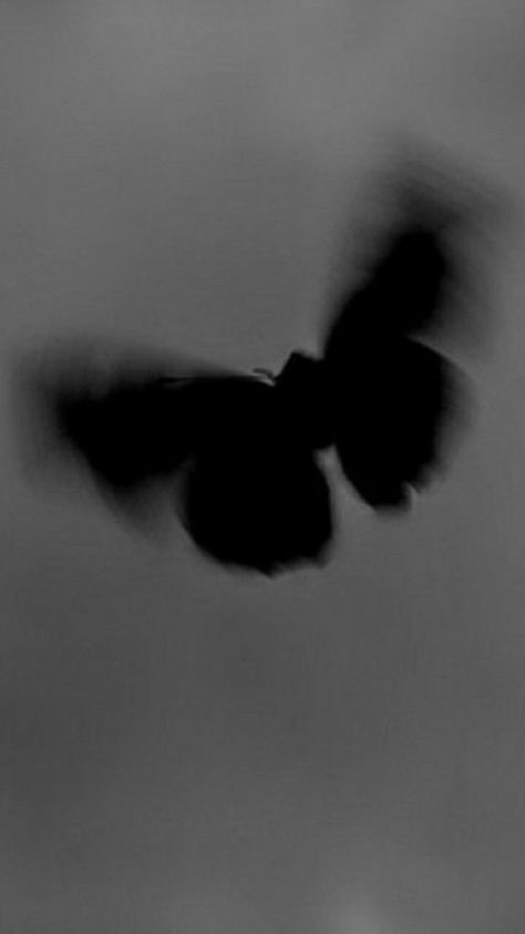 - butterfly in black in 2022 | Fotografi seni, Latar belakang, Kupu-kupu Aesthetic Photos, Dark Aesthetic, To Share, Black