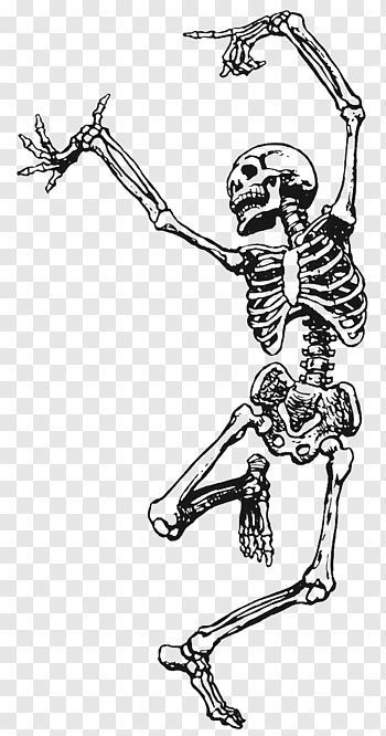 Skeleton Ink Drawing, Skeleton Playing Instrument, Drawings Of Skeletons, Skeleton Png Aesthetic, Animal Skeleton Drawing, Dancing Skeleton Tattoo, Skeleton Doodle, Graffiti Skeleton, Dance Art Drawing