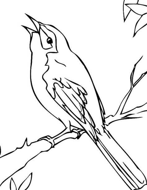 Black Bird Coloring Page : Color Luna Mockingbird Drawing, Sea Hat, Bird Coloring Page, Bird Coloring, Bird Coloring Pages, Deep Blue Sea, Bird Drawings, Marquetry, Color Therapy