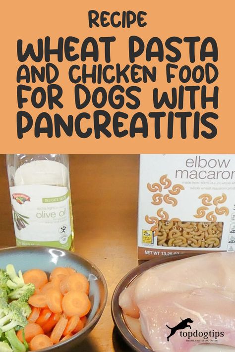 homemade chicken and wheat pasta dog food recipe for dogs with pancreatitis Pancreatic Diet Recipes, Pasta And Chicken, Chicken Dog Food Recipes, Pet Treats Recipes, Food For Dogs, Best Treats For Dogs, Pasta Chicken, Wheat Pasta, Whole Wheat Pasta