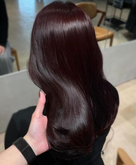 Dark Mocha Brown Hair Chocolates, Red Toned Dark Brown Hair, Black Cherry Brown Hair, Soft Burgundy Hair, Plum Chocolate Hair Color, Deep Cherry Black Hair, Dark Brunette Hair With Red Undertones, Cherry Auburn Hair Color, Reddish Black Hair Color