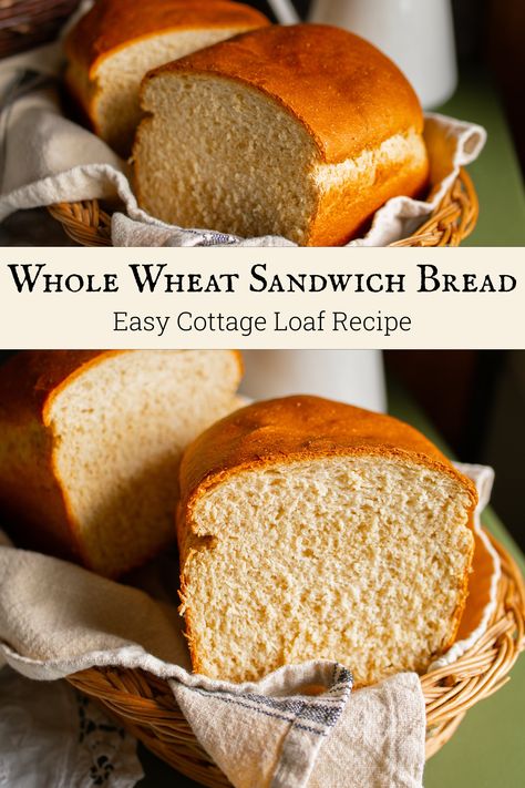 Cottage Whole Wheat Sandwich Bread: The Perfect Bread Recipe Sandwich Bread Recipe Whole Wheat, Light Wheat Bread Recipe, Whole Bread Recipes, Sandwich Bread Recipe Wheat, Whole Wheat Loaf Bread Recipe, Freshly Milled Bread Recipe, Soft Whole Wheat Bread Recipe, Honey Wheat Sandwich Bread Recipe, Wheat Bread Recipe Homemade