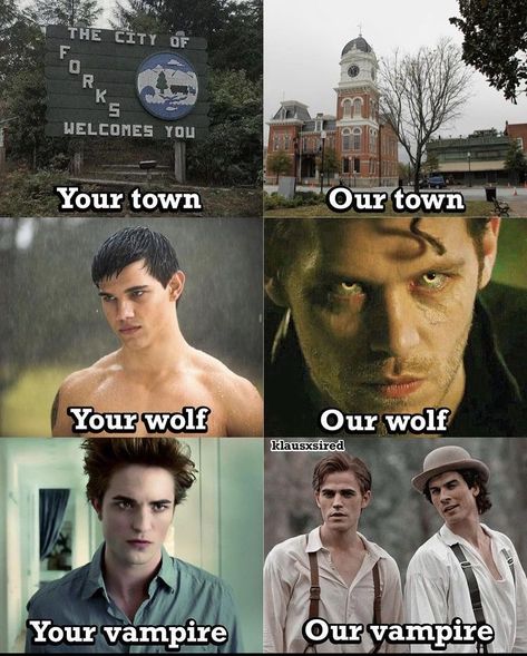 Vampire Diary, Fandom Quotes, Vampire Diaries Memes, Vampire Shows, The Vampire Diaries Characters, Damon Salvatore Vampire Diaries, Vampier Diaries, Vampire Diaries Movie, Vampire Diaries Quotes