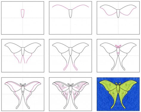 How to Draw a Moth · Art Projects for Kids How To Draw A Moth Step By Step, How To Draw Moths, Easy Moth Drawing, Moth Drawing Easy, Moth Crafts, How To Draw A Butterfly, Moth Coloring Page, How To Draw Bugs, How To Draw Insects