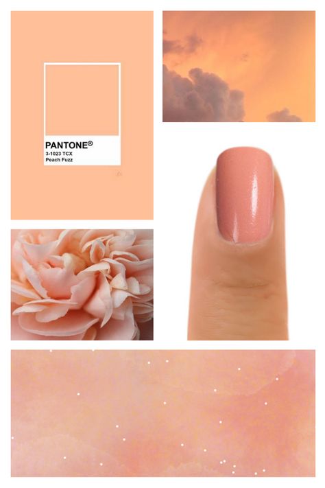 Peach Fuzz makes me think of pastel peach sunset and a dreamy bouquet of flowers. Nail polish is Zoya Tessa. Peach Fuzz Nails, Pantone Nails, Dreamy Bouquet, Peach Sunset, Light Spring Color Palette, Peach Nail Polish, Color Of The Year 2024, Derby Attire, Light Spring Colors