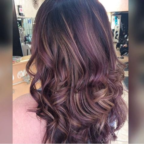 Multi Dimensional Subtle Hair, Subtle Dimensional Hair Color, Curly Color Ideas, Pbj Hair, Dimensional Hair, Dimensional Hair Color, Curly Hair Trends, Curly Color, Color Formulas