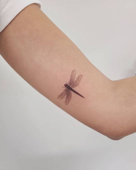 Dragonfly Tattoo Placement For Women, Jay Freestyle, Dragonfly Tattoos, Butterfly Tattoos For Women, Daisy Tattoo, Butterfly Tattoos, Dragonfly Tattoo, Senior Prom, Dream Tattoos