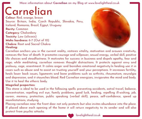 Carnelian Image Is Carnelian Water Safe, Monday Magick, Spirituality Tips, Carnelian Properties, Magickal Correspondences, Writing Thoughts, Esoteric Knowledge, Sacral Chakra Healing, Healing Rocks