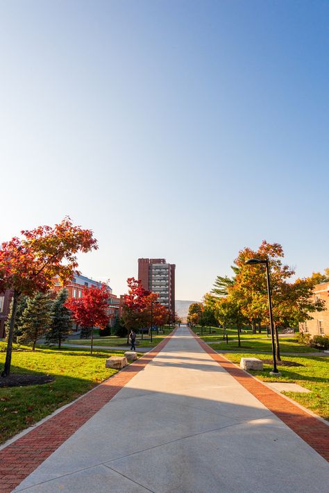 SUNY New Paltz performed well on two major recent rankings of the most environmentally responsible colleges and universities, continuing a string of accolades recognizing sustainability efforts in and out of the classroom. Suny New Paltz, Green Construction, New Paltz, Environmentally Friendly, Strategic Planning, Too Cool For School, Colleges And Universities, Higher Education, Rubrics