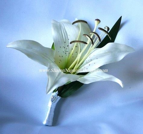 Boutonniere White Tiger Lily, Lily Boutonniere, Lily Bridal Bouquet, Tiger Lilies, Emerald Green Weddings, Lily Bouquet, Flowers Ideas, White Lily, Groom Boutonniere