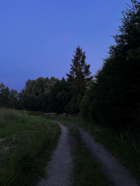 forest path nature trees night evening vibes vibe aesthetic wallpapers Evening Vibes Aesthetic, Night Walking Aesthetic, Evening Vibes, Dark Forest Aesthetic, Dark Landscape, Forest Sunset, Forest Trail, Night Forest, Forest Path