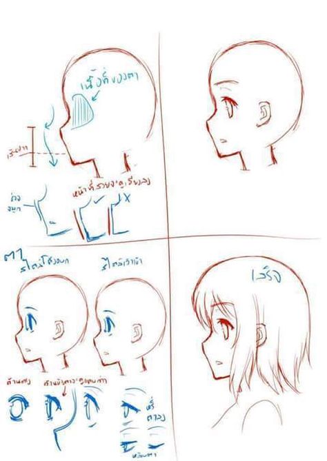 Face eyes side view Sketch Hacks, Eyes Side View, Drawing 101, Chibi Eyes, Drawing Anime Bodies, How To Draw Anime Eyes, Profile Drawing, Help Wanted, Body Reference Drawing