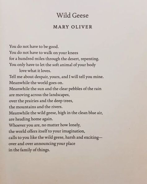 @poetryisnotaluxury on Instagram: "Mary Oliver Sending love out to a dear friend with this reminder 💌 Wild Geese You do not have to be good. You do not have to walk on your knees for a hundred miles through the desert, repenting. You only have to let the soft animal of your body love what it loves. Tell me about despair, yours, and I will tell you mine. Meanwhile the world goes on. Meanwhile the sun and the clear pebbles of the rain are moving across the landscapes, over the prairies and th Wild Geese Mary Oliver, Mary Oliver Quotes, Mary Oliver Poems, Animal Poems, Wild Geese, Blue Air, Mary Oliver, Sending Love, Body Love