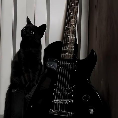 Black Guitar Aesthetic, Black Cat Pfp, Black Cat Pictures, Goth Cat, All Black Cat, Kitten Accessories, Black Cat Aesthetic, Dark Feminine Aesthetic, Black Kitten