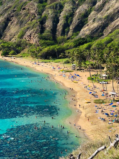 Hanauma Bay Nature Preserve - snorkel, parking, hours - Oahu Activities Oahu Hawaii Activities, Beaches Sunset, Oahu Activities, Tourism Photography, Things To Do In Oahu, Hawaii Activities, Oahu Travel, Hanauma Bay, Nature Preserve