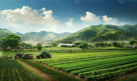 sprawling agricultural farm featuring fields of crops. AI Generated Farming Background, Crop Field, Field Wallpaper, Background Wallpaper For Photoshop, Background Wallpaper, Agriculture, Royalty Free Stock Photos, Photoshop, Stock Photos