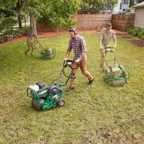 How To Reseed Your Lawn, Reseeding Lawn, Lawn Repair, Lawn Work, Growing Grass, Sprinkler Heads, Aerate Lawn, Diy Lawn, Landscaping Retaining Walls