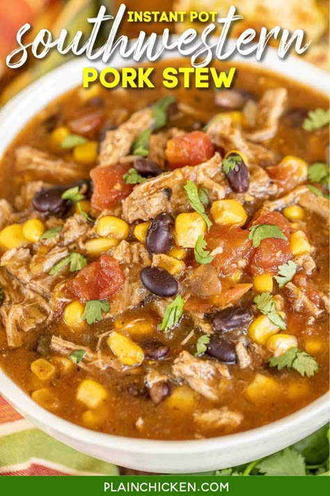 Pork Stew Meat Recipes, Pork Stew Meat, Pork Soup Recipes, Pork Stew Recipes, Pork Chili, Hearty Stew, Stew Meat Recipes, Pork Soup, Pork Stew