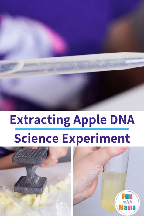 This Fruit DNA Extraction Lab Science Experiment is a great way to teach children about the DNA process. It's a fun science experiment for kids! #science #stem #learningforkids #DNAexperiment Shampoo Slime, Dna Extraction Lab, Make Slime Without Glue, Dna Extraction, Slime Without Glue, Biology Experiments, Cool Science Fair Projects, Science Experiment For Kids, Lab Science