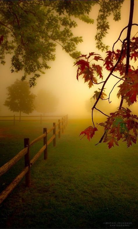 Crow's Nest, Foggy Morning, Fantasy City, Foto Art, Andy Warhol, Nature Pictures, Beautiful Landscapes, Beautiful Nature, Fence